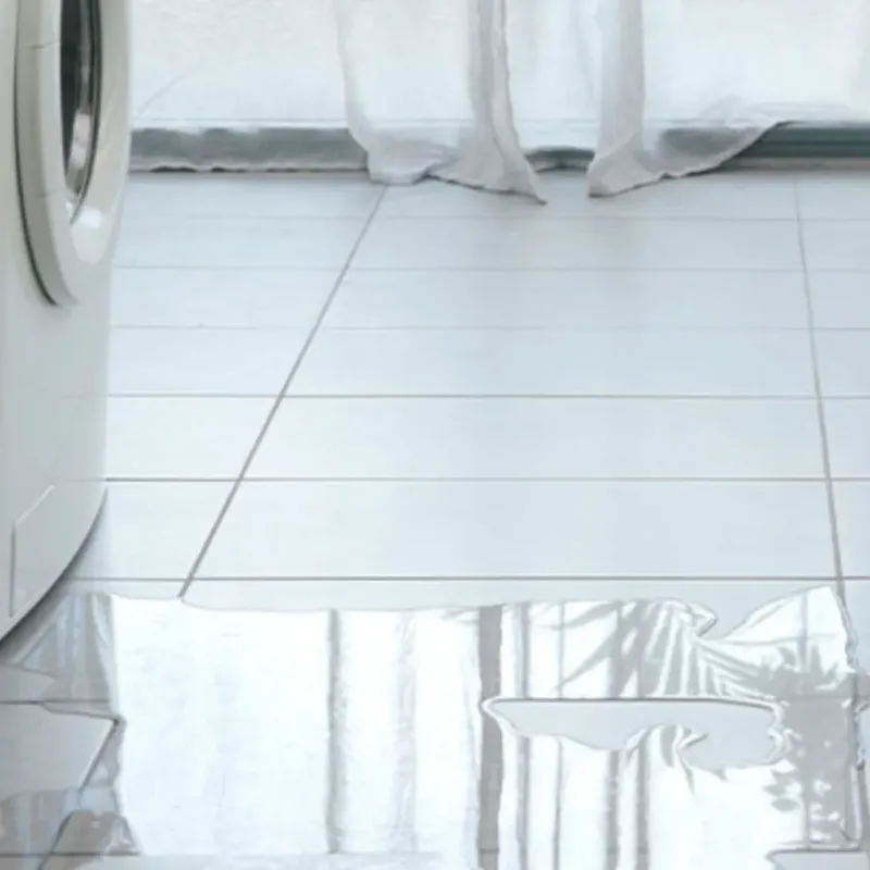 Appliance Leak Cleanup in Ness City, KS