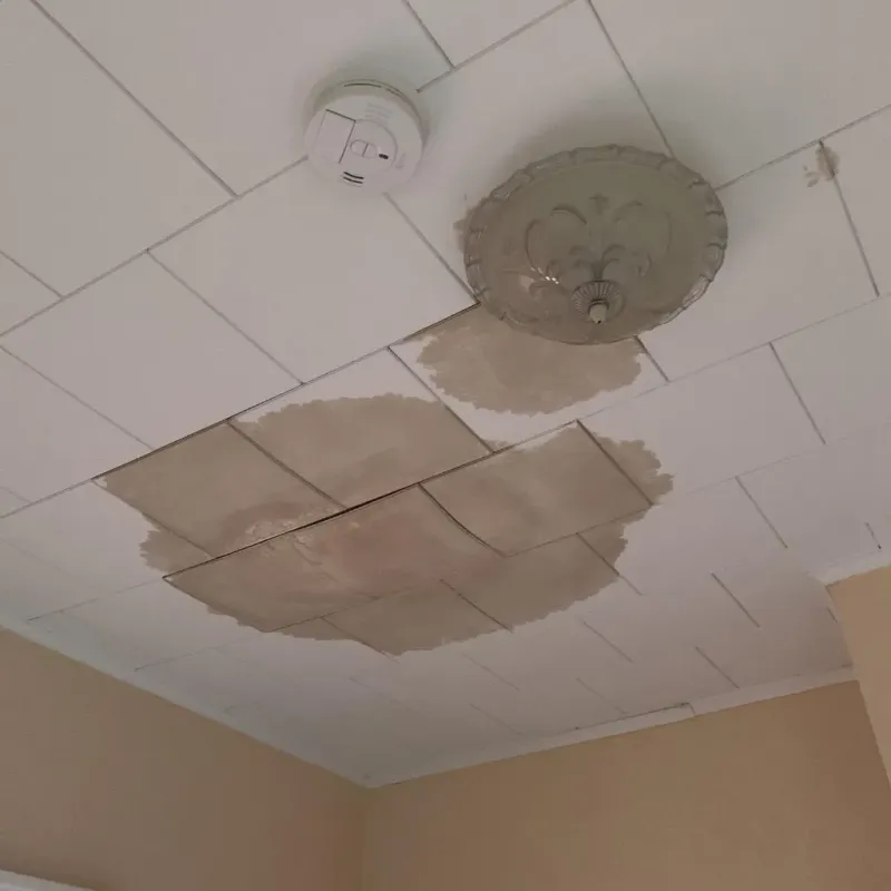Ceiling Water Damage Repair in Ness City, KS