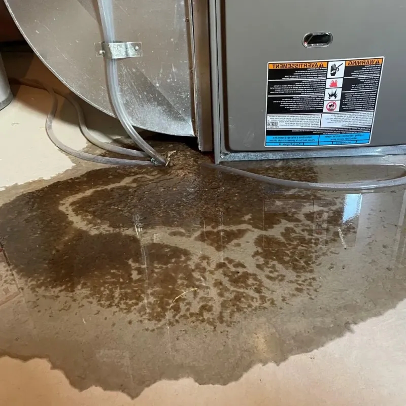 Pipe Burst and Leak Restoration in Ness City, KS