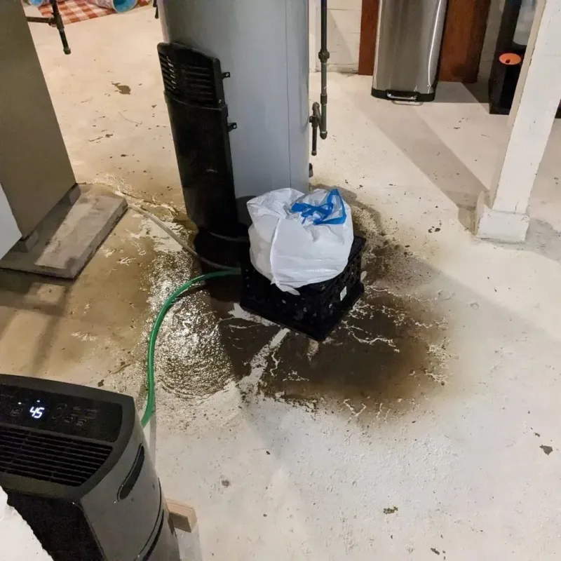 Sewage Backup Cleanup Service in Ness City, KS